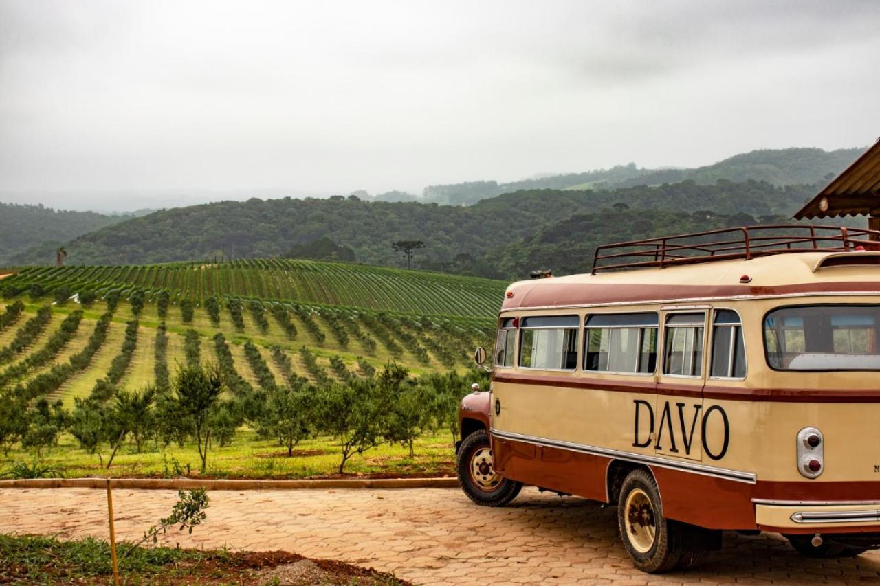 Hotel Vinicola Davo Ribeirao Branco Eksteriør billede